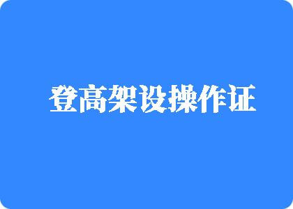 巨屌插骚逼登高架设操作证